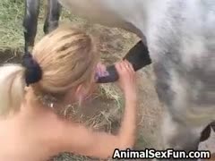 Excellent horse blowjob followed with pussy eating, hot sex with stallion and a cumshot in her ass